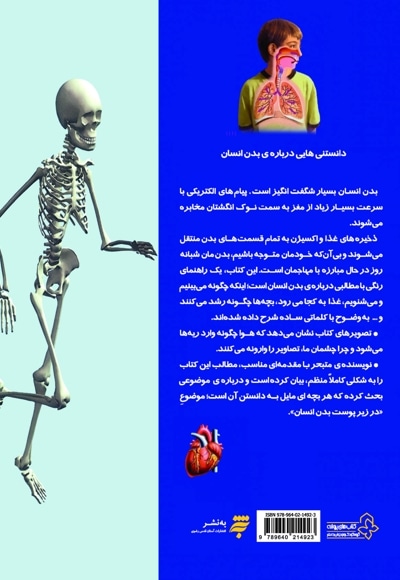دانستنی هایی درباره ی بدن انسان